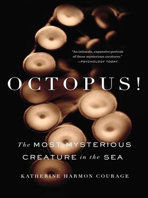 cover image of Octopus!